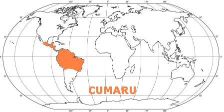 Mapa tropických dřevin CUMARU - Jižní Amerika(Brazílie), Střední Amerika(Venezuela,Kolumbie)