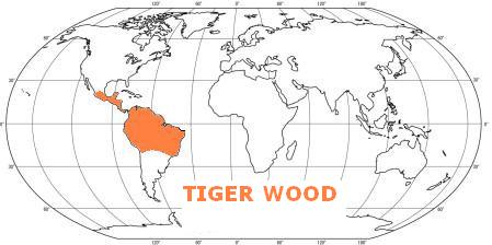 Mapa tropických dřevin TIGER WOOD - Brazílie